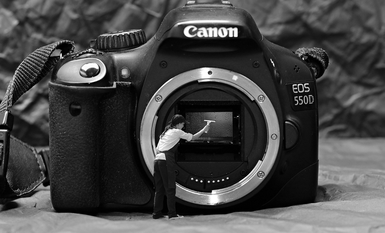 spring cleaning, sensor cleaning, sensor, cleaning, camera, clean, wash up, to clean, canon, 550d, i